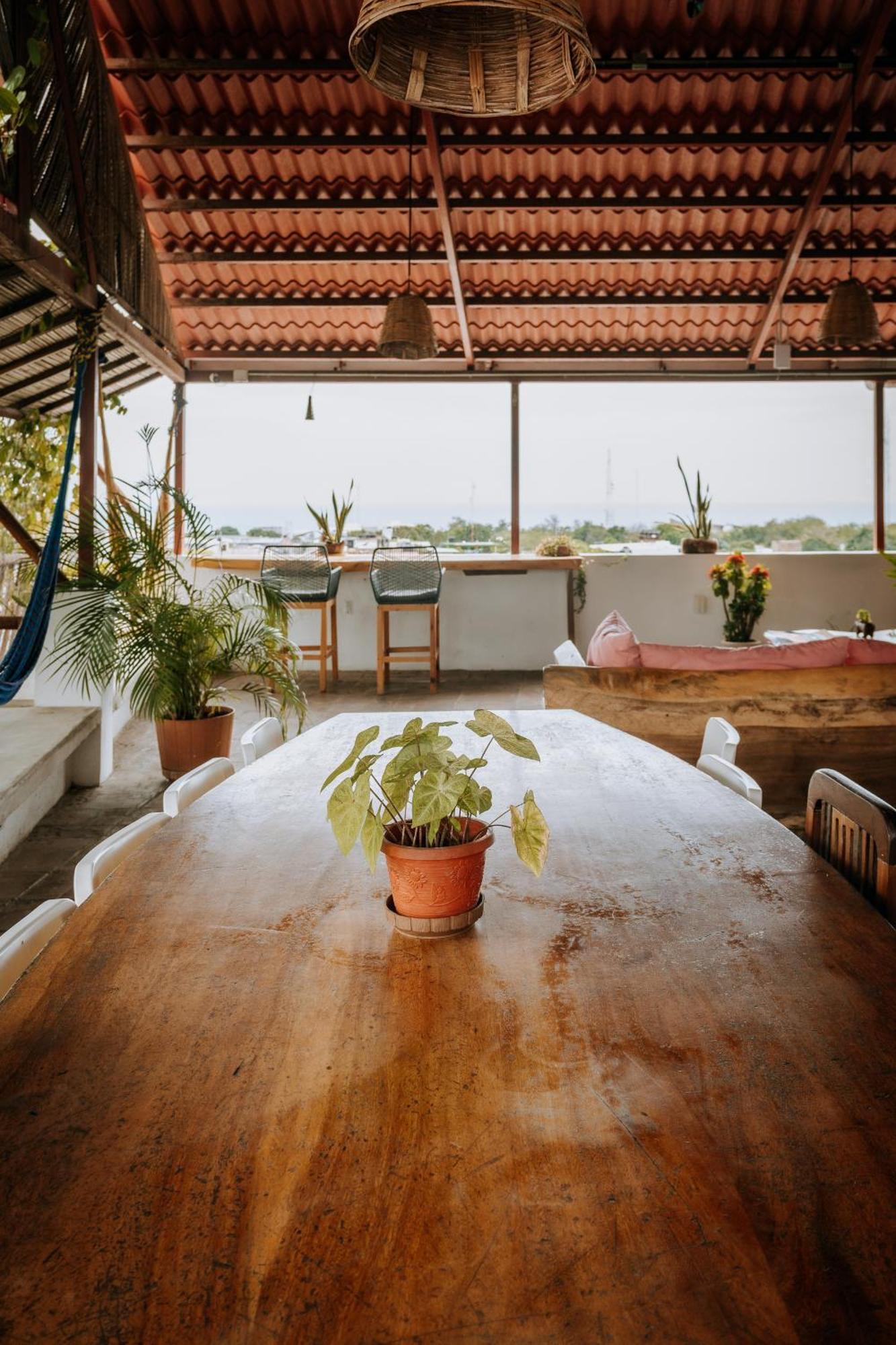 Terraza Puerto Hostel プエルト・エスコンディード エクステリア 写真