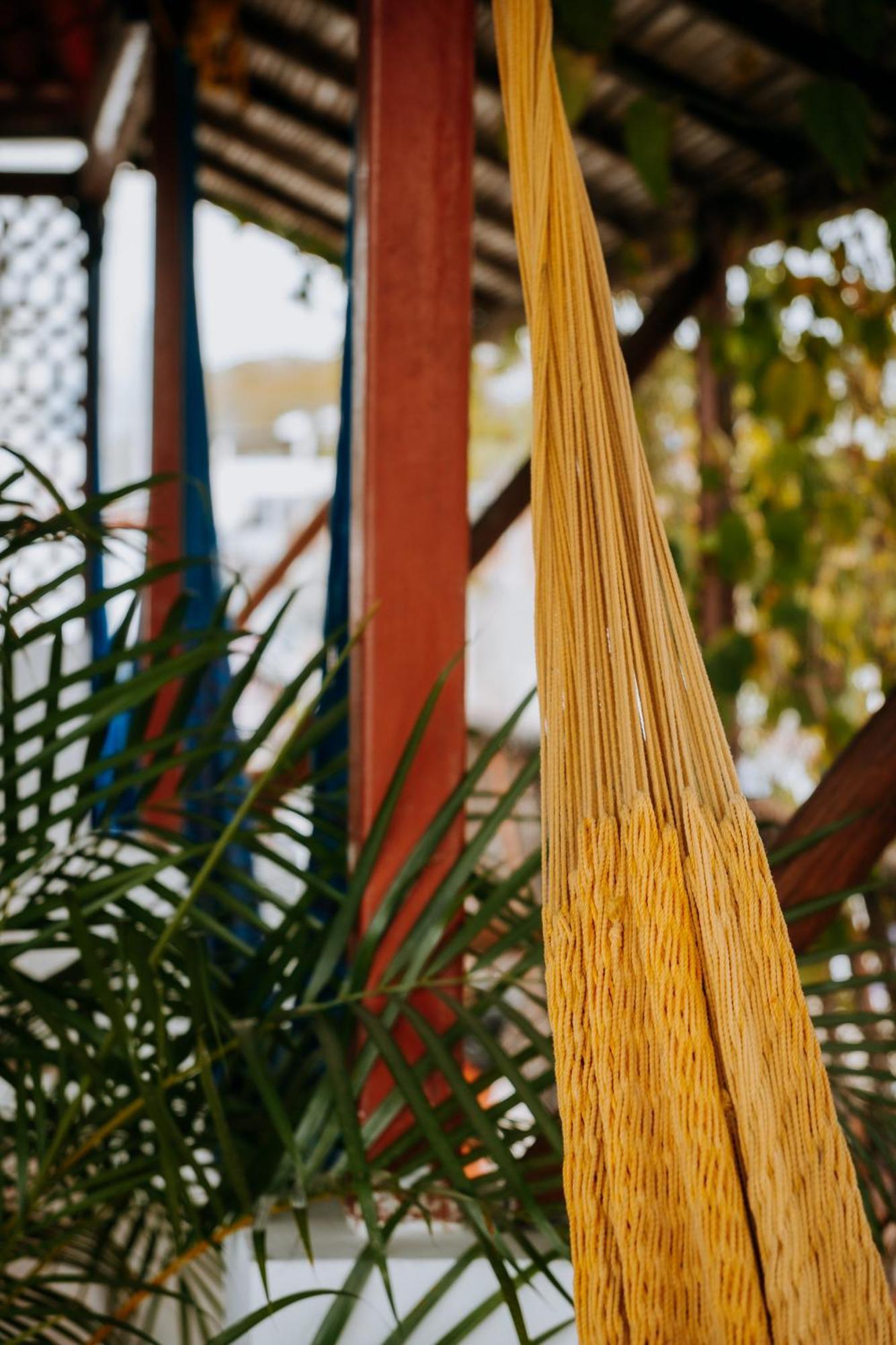 Terraza Puerto Hostel プエルト・エスコンディード エクステリア 写真